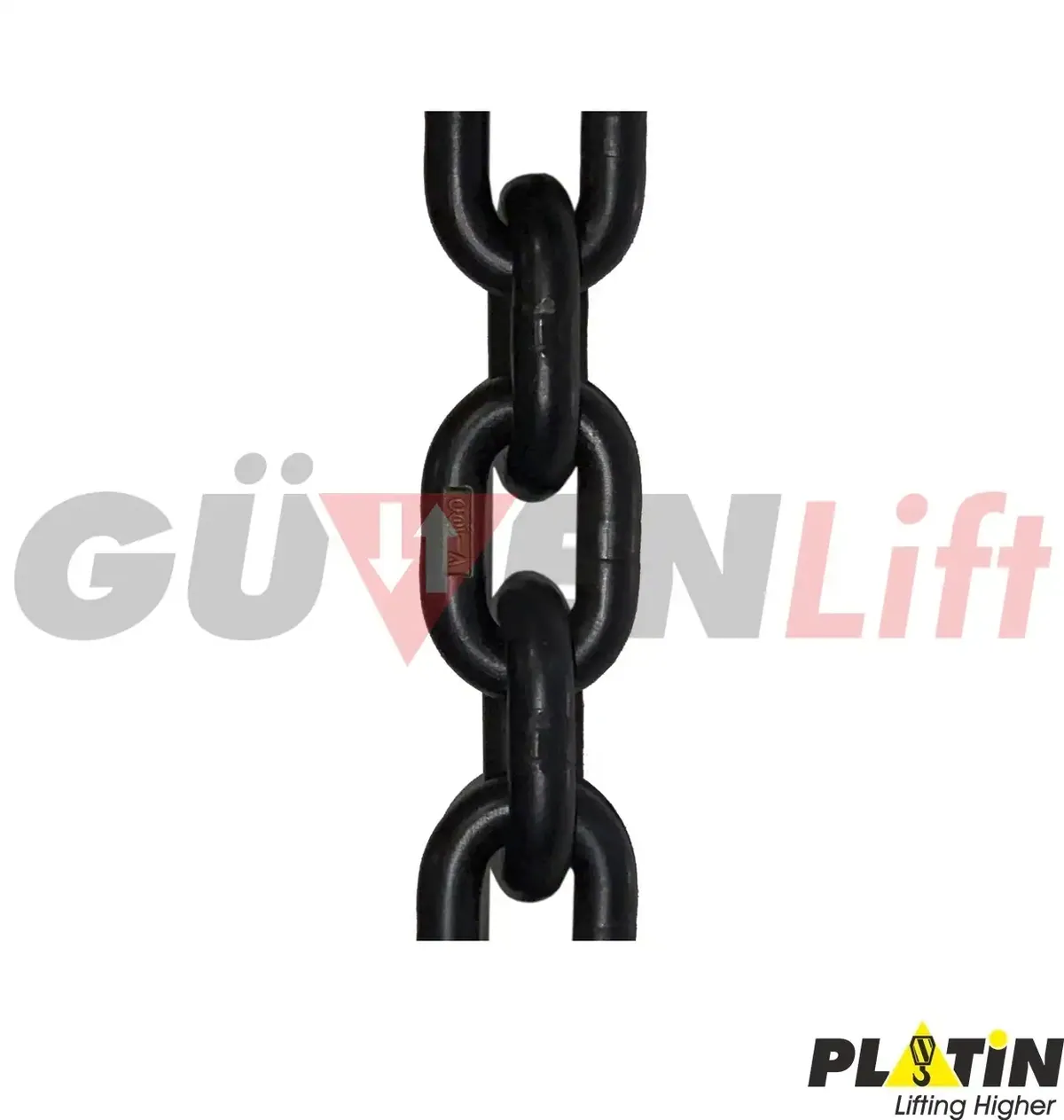 1 Ton Sabit Zincirli Caraskal 380 Volt - Görsel 20